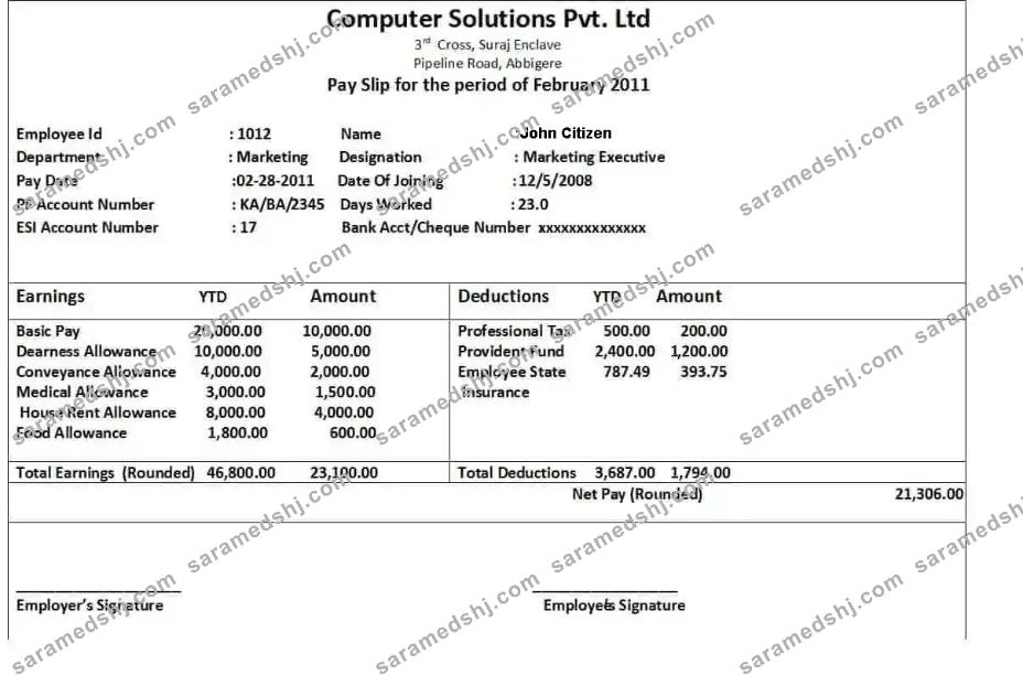 COMPUTER solutions Pvt. Ltd in Word and PDF formats